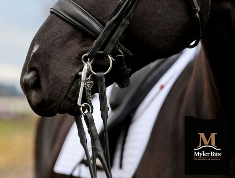 Myler Onderlegtrens Confort MB02 Level 1