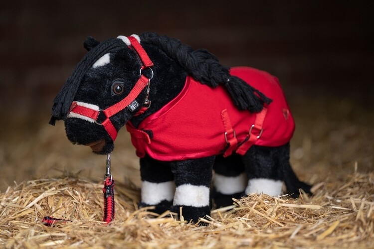 HKM Starterset Cuddle Pony