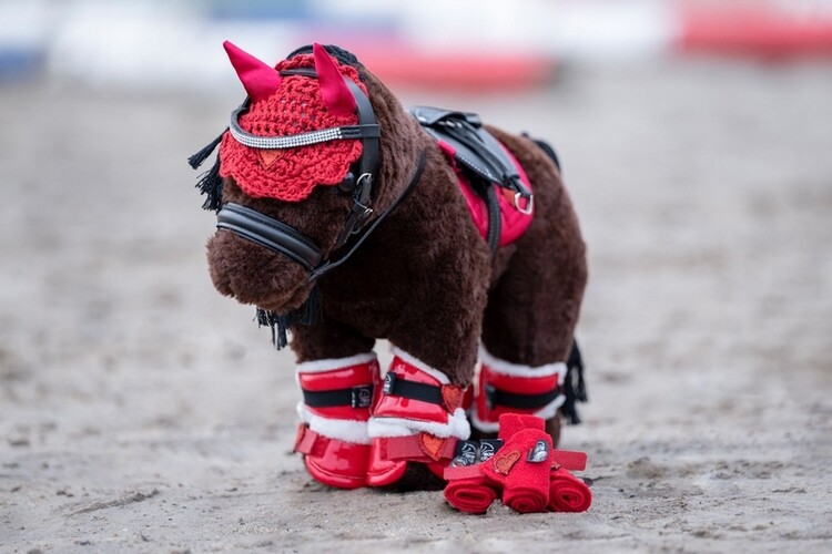 HKM Rij set Starter Cuddle Pony