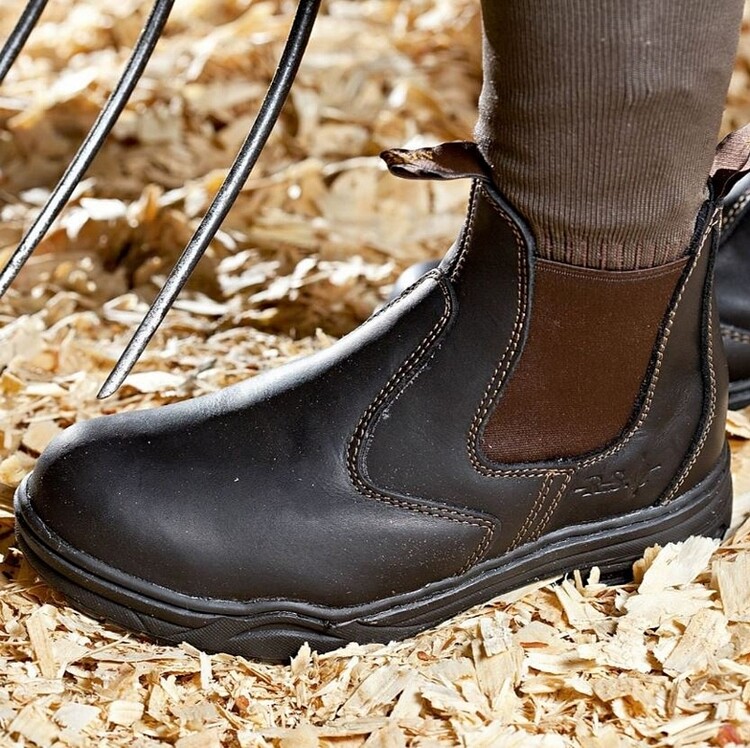 Mountain Horse Protective Jodphur