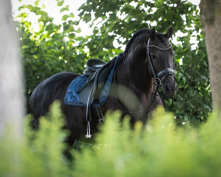 QHP Zadeldek Lily
