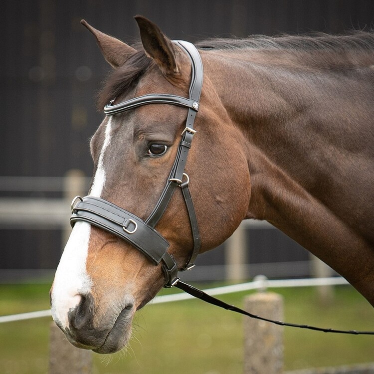 Harry's Horse Kaptoom hoofdstel leder comfort