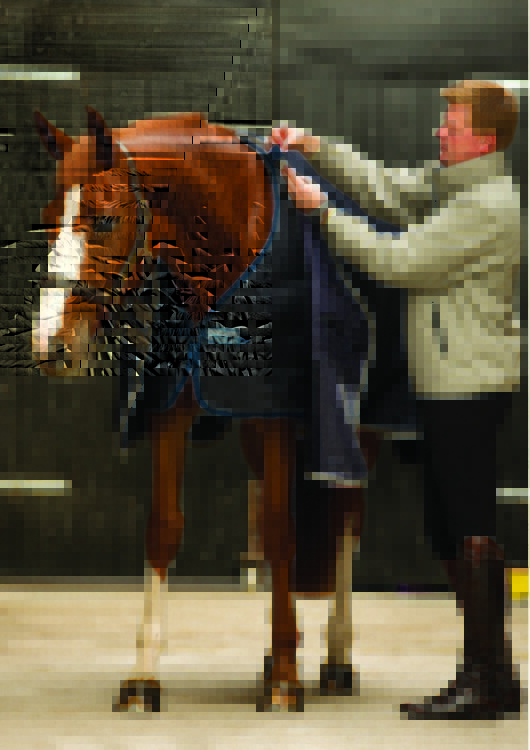 Horseware Liner 100grs