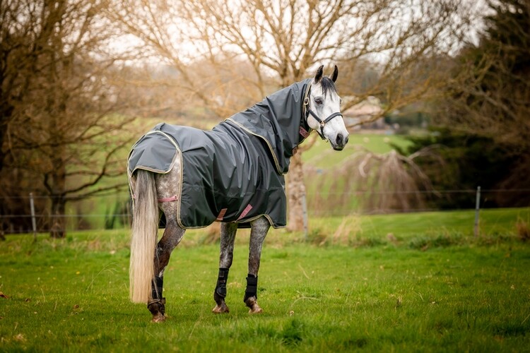 Horseware Amigo Hero Ripstop Plus Lite 0g regendeken
