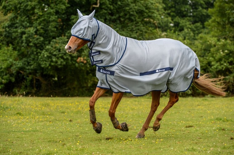 Bucas Buzz Off Flymask