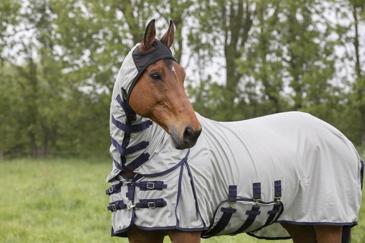 DKR Sports Vliegendeken Hoody