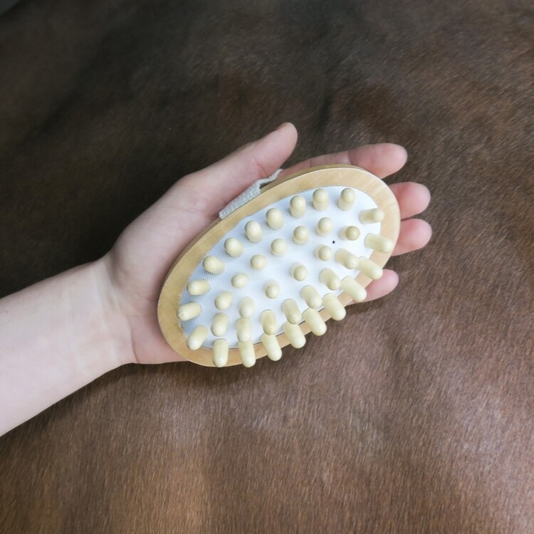 Borstiq Massage Borstel