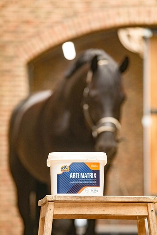 Cavalor Arti Matrix 2kg