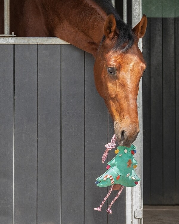 QHP Paardenspeelgoed Kerst