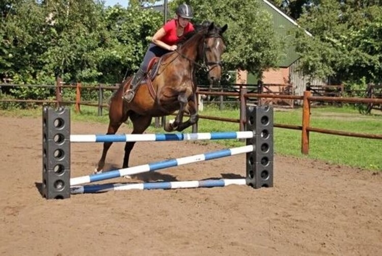 Horse Cube Hindernisblok