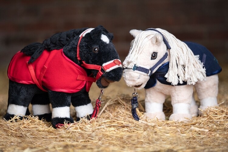 HKM Starterset Cuddle Pony