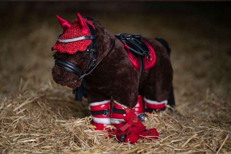 HKM Rij set Starter Cuddle Pony