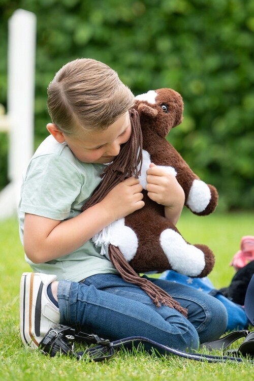 HKM Pinto Cuddle Pony