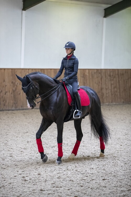 LeMieux Zadeldek Luxery Suede Dressage Square