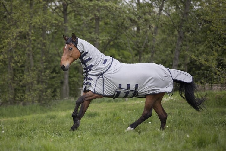 DKR Sports Vliegendeken Hoody