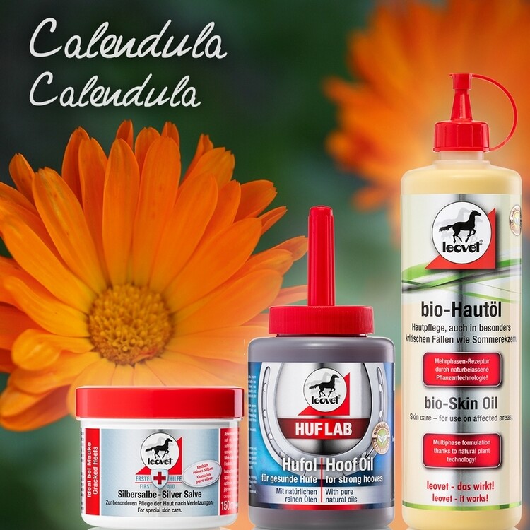 Leovet Zilverzalf | 150ml