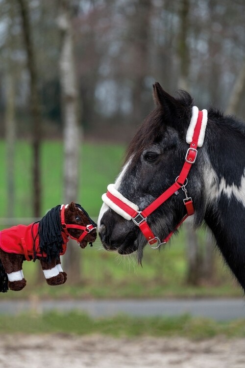 HKM Starterset Cuddle Pony