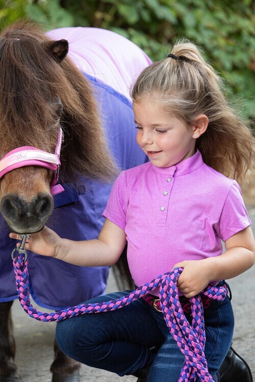 Harry's Horse Diva Violet