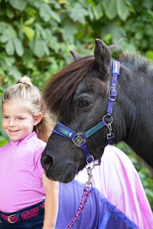 Harry's Horse Diva Violet