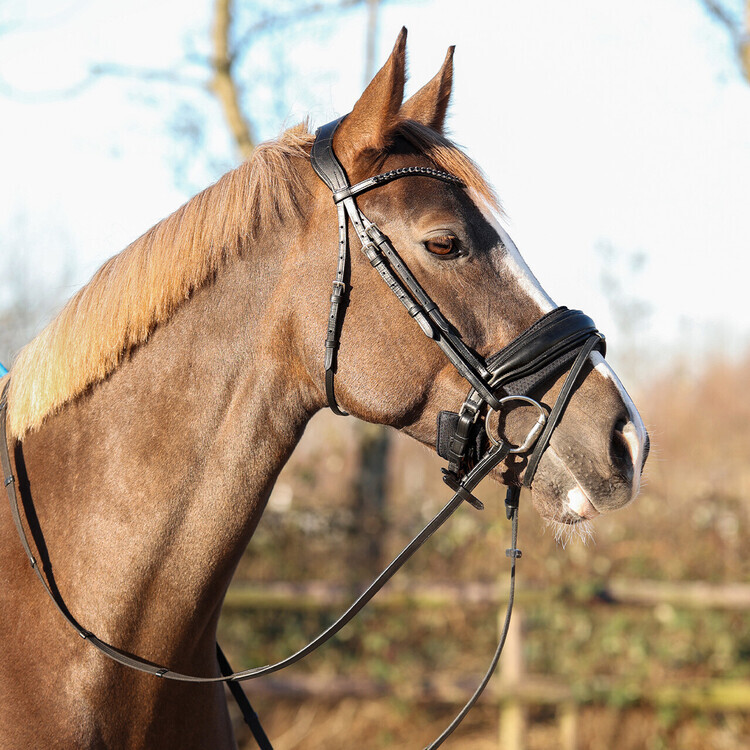 QHP Air Mesh Collectie