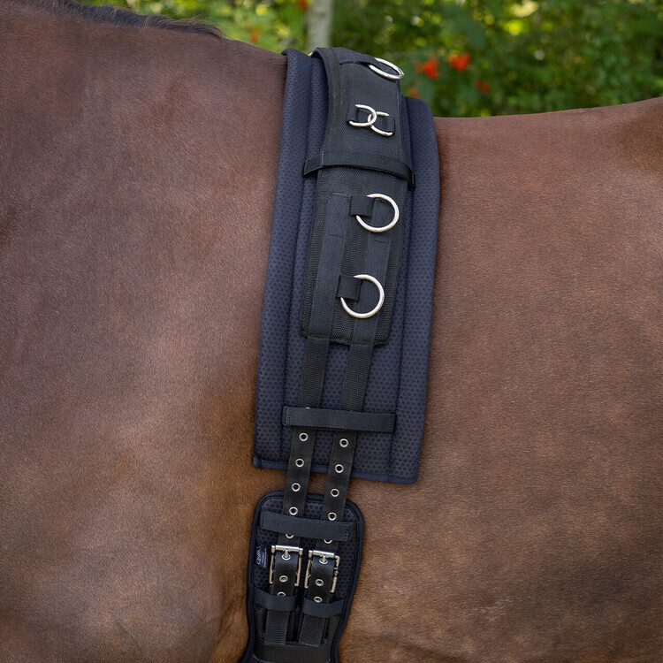 QHP Air Mesh Collectie