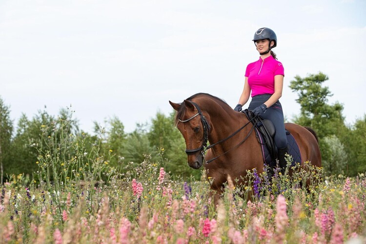 Harry's Horse Just Ride Nightsky