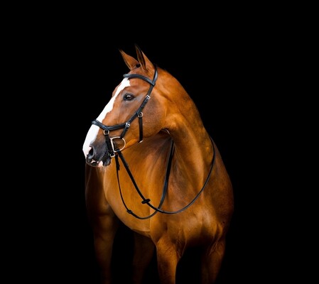 Horseware Micklem 2 Deluxe Competition Trense