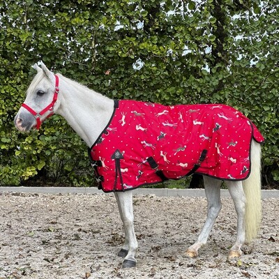 DKR Sports Mini Winterdecke 150grs für pony's Sweet Pony