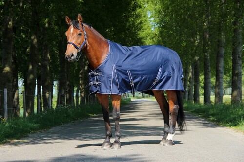 DKR Sports Regen decke Luxe mit fleece lining