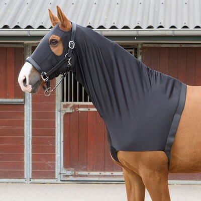 Harry's Horse Lycra Schulterschutz hooded schwarz